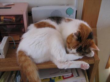 IMG_3252_convert_20120719082424.jpg