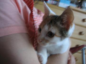 IMG_3551_convert_20120803070326.jpg