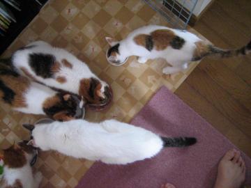 IMG_4060_convert_20120909090900.jpg