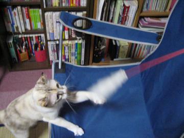 IMG_4139_convert_20120914093742.jpg