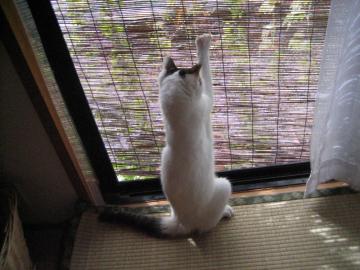 IMG_4225_convert_20120918101250.jpg