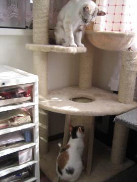 IMG_4320_convert_20120925113554.jpg