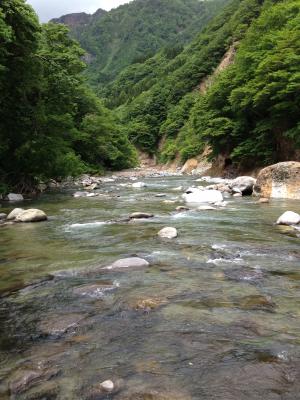 IMG_0222_convert_20120612183423.jpg
