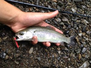IMG_0349_convert_20120702210450.jpg