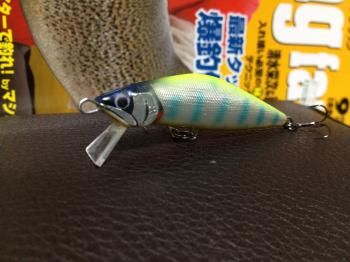 IMG_1083_convert_20120917202807.jpg
