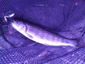 SH3J0007_convert_20120522220645.jpg