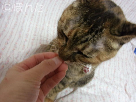 うに_11歳3