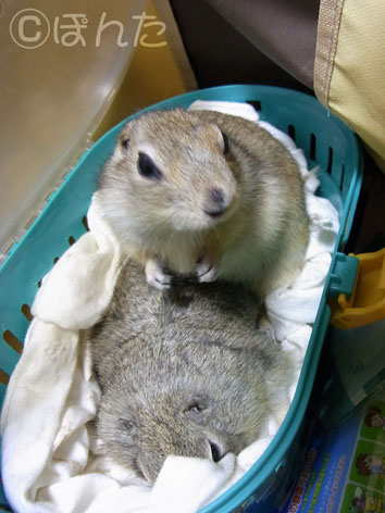 病院_ぴきぴきず3