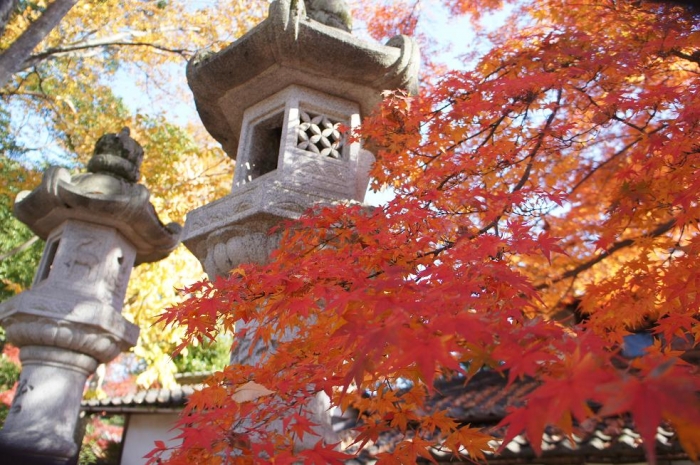 DSC09085.jpg