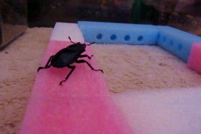 1_20121209183936.jpg