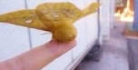 ヤママユ 1