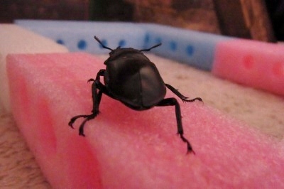 2_20121209183935.jpg