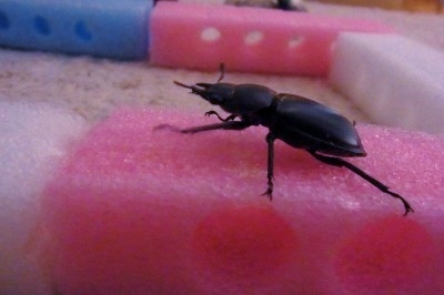3_20121209183934.jpg