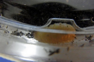 3_20130114011011.jpg