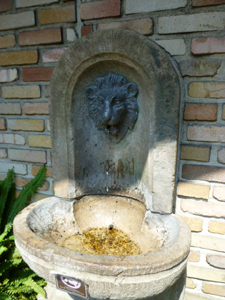 P1000527.jpg