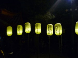 P1000748.jpg