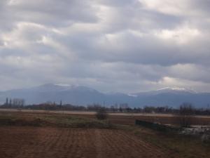DSC01110_convert_20121216173043.jpg