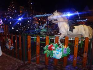 DSC01215_convert_20121218001238.jpg