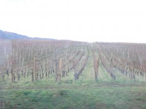 DSC01381_convert_20121226020052.jpg