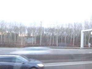 DSC01402_convert_20121226020605.jpg