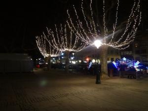 DSC01424_convert_20121226215741.jpg
