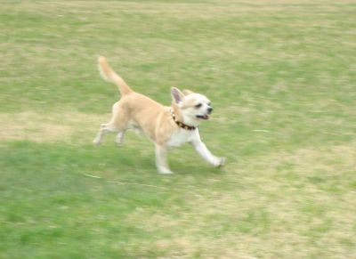 IMG_5666_400.jpg