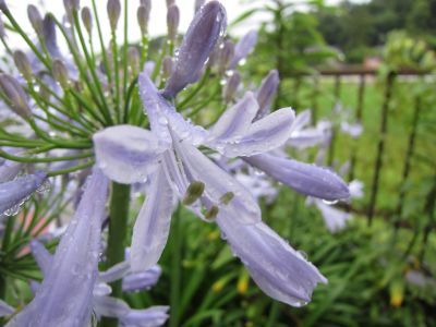 IMG_6584_400.jpg