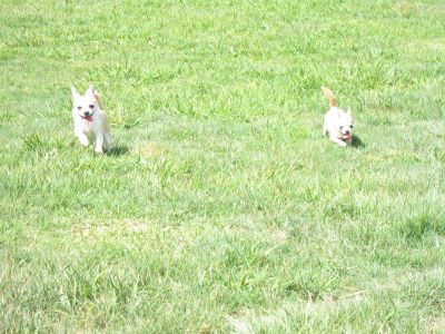 IMG_7378_400.jpg