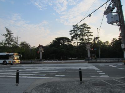 IMG_7708_400.jpg