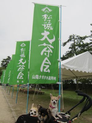 IMG_7872_400.jpg