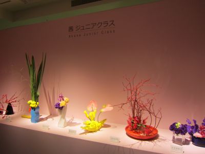 IMG_8561_400.jpg