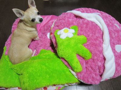 IMG_8632_400.jpg