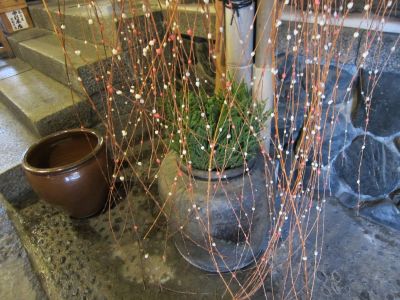 IMG_9145_400.jpg