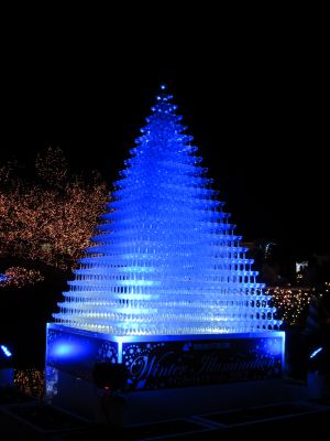 IMG_9371_400.jpg