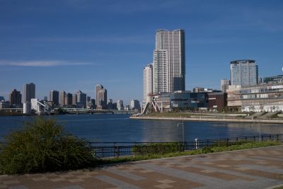 P1000889_400.jpg