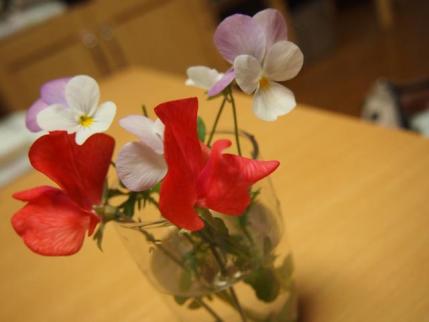 20120521.jpg