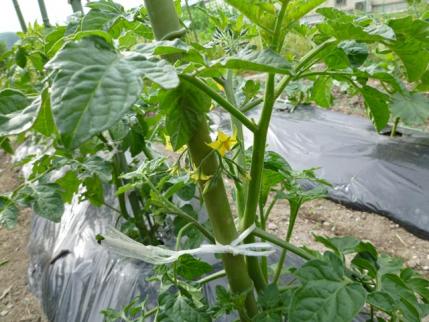 20120524.jpg