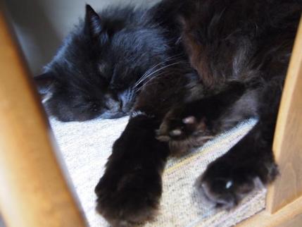 20120525.jpg
