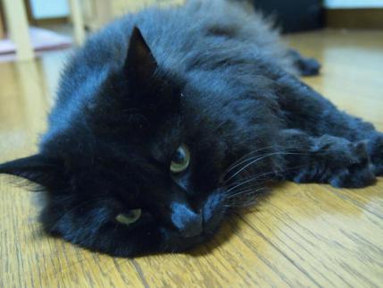 20120725.jpg