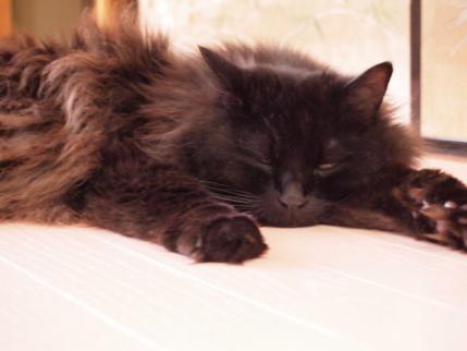 20120729.jpg