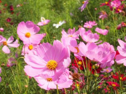 20120915.jpg