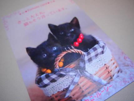 20121022.jpg