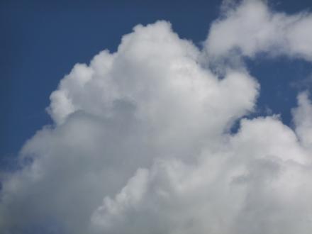 CIMG0354_convert_20120728132116.jpg