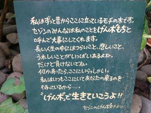 DSC_0194_convert_20121019192952.jpg
