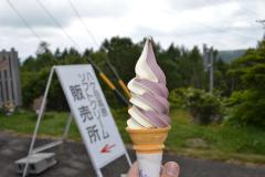 DSC_0027_20120815210124.jpg