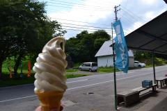 DSC_0060_20120815211043.jpg