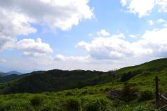 DSC_0084.jpg