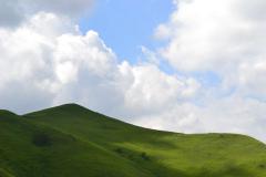 DSC_0093.jpg