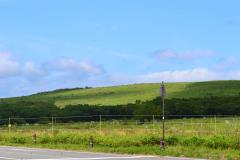 DSC_0119.jpg