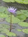 DSC00359.jpg